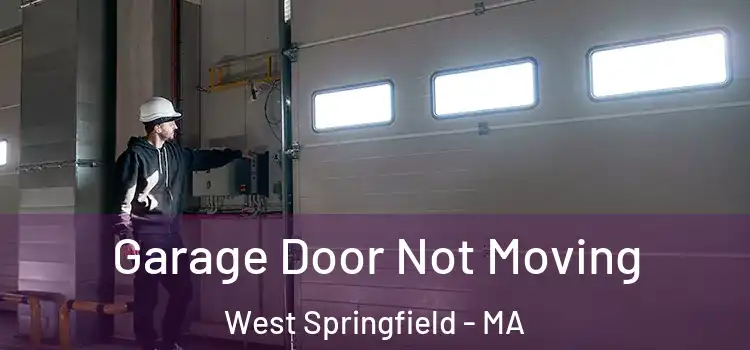  Garage Door Not Moving West Springfield - MA