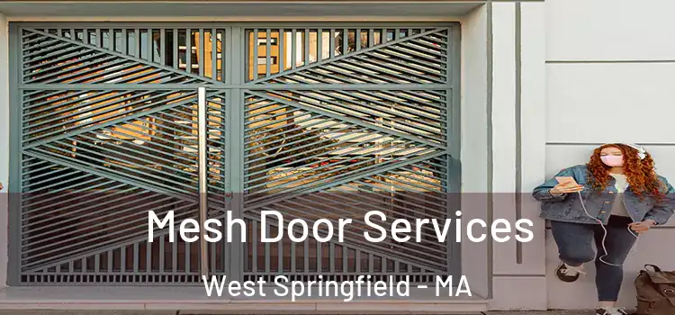 Mesh Door Services West Springfield - MA